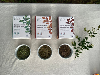 Loose Leaf - CatSpring Yaupon