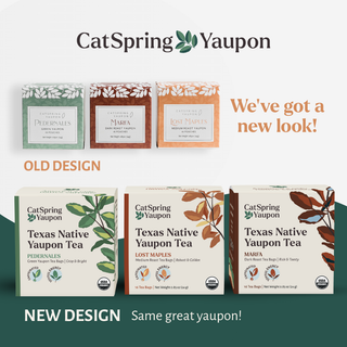 Multipack Yaupon Teabags (48 Count)