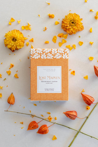 Lost Maples Medium Roast Yaupon – Loose Leaf & Teabag