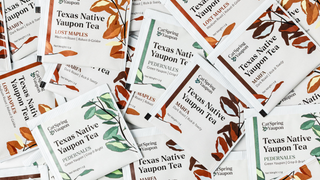 Which Yaupon Tea Is Right for You (or Them)? A Simple Guide