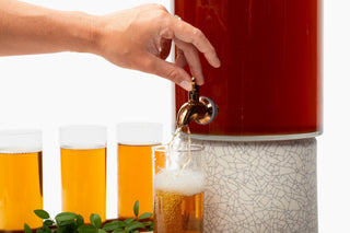 Cold Brew Yaupon Guide