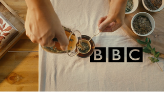 Exploring Yaupon's Past and Future with the BBC