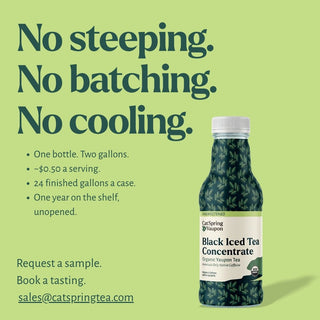Iced Yaupon Tea Concentrate