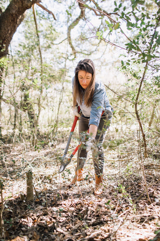 Founder, Abianne Falla Harvesting Yaupon outside 