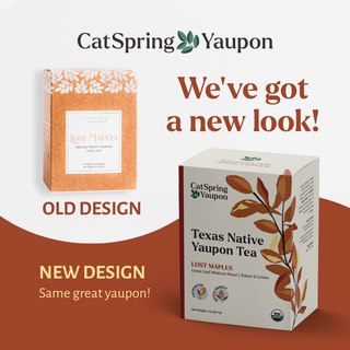 Lost Maples Medium Roast Yaupon – Bold & Complex  –  Loose Leaf & Teabags