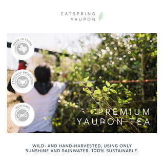 Variety Pack - Yaupon Tea Loose Leaf