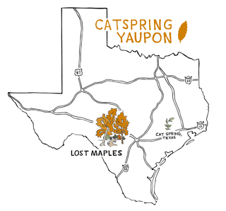 Lost Maples - Medium Roast (Loose leaf & teabags) - CatSpring Yaupon