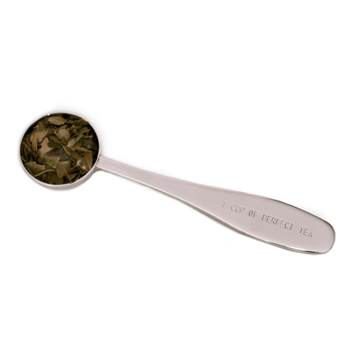 A Perfect Tea Spoon - CatSpring Yaupon