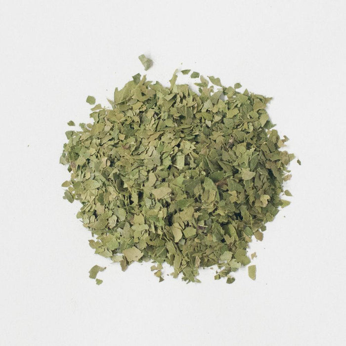 Pedernales - Green Yaupon Bulk (1 lb) - CatSpring Yaupon